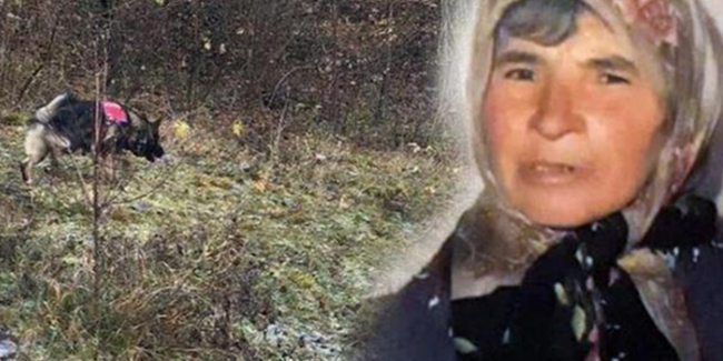 Kastamonu'da kaybolan kadının 70 gün sonra kemikleri bulundu!