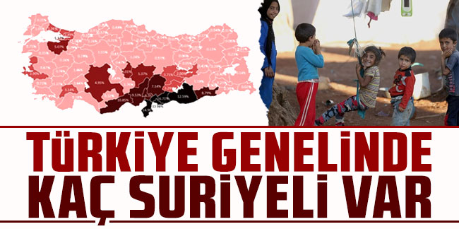 Türkiye'de bulunan göçmen sayısı açıklandı!