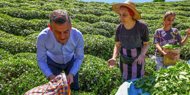 Özgür Özel, Rize’de çay üreticilerini ziyaret etti