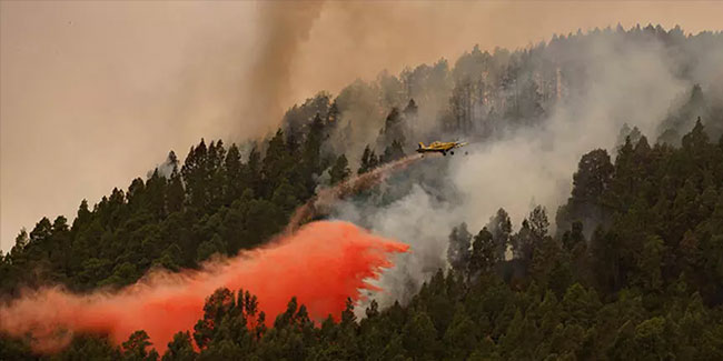 İspanya alev alev yanıyor! 3 bin hektardan fazla alan küle döndü