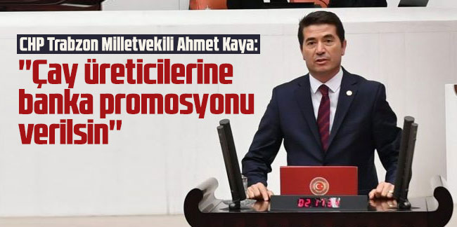 CHP Trabzon Milletvekili Ahmet Kaya: ''Çay üreticilerine banka promosyonu verilsin''