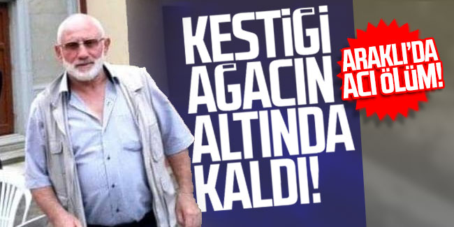 Araklı'da acı ölüm! Kestiği ağacın altında kaldı!