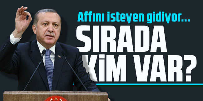 Erdoğan'a bakan dayanmıyor, affını isteyen gidiyor: Sırada kim var?