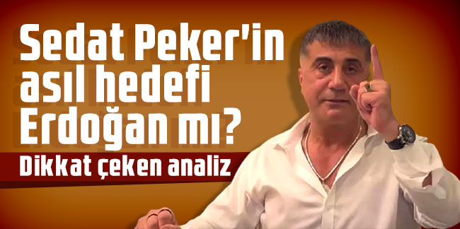 Sedat Peker'in asıl hedefi Erdoğan mı? Dikkat çeken analiz