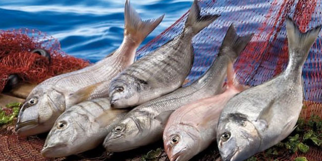 Balık üreticilerine iki önemli destek