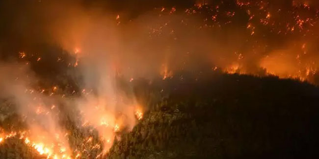 İsviçre'de orman yangını: 200 kişi tahliye edildi