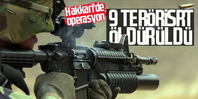Hakkari'de operasyon: 9 terörist öldürüldü