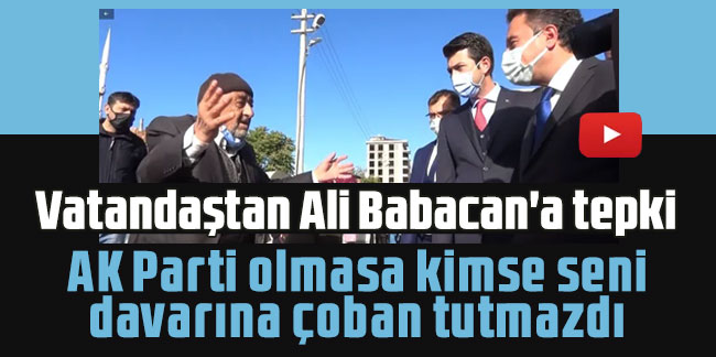 Vatandaştan Babacan'a tepki: AK Parti olmasa kimse seni davarına çoban tutmazdı