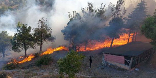 Amasya'da Harşena Kalesi yakınında orman yangını