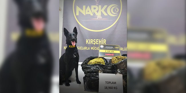 Kırşehir’de uyuşturucu operasyonu uyuşturucu köpeği 19 kilogram uyuşturucu buldu