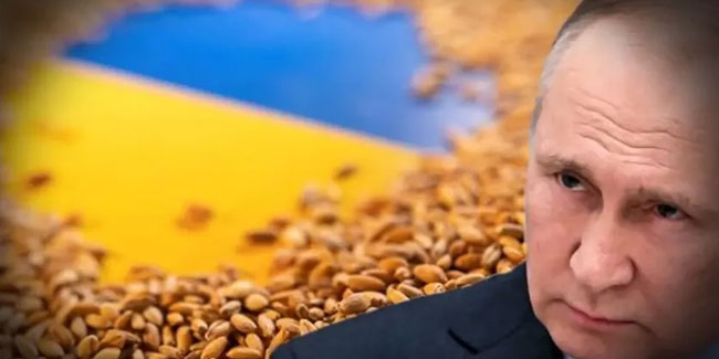 Putin'den tahıl krizine çözüm önerisi: Belarus üzerinden ihraç edilebilir