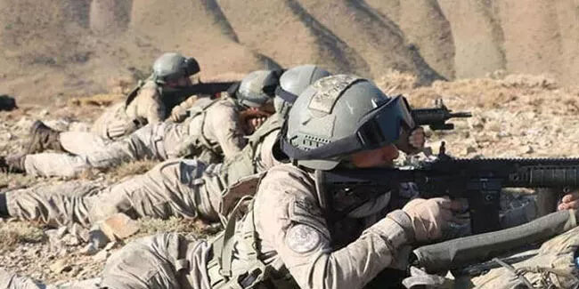 Zeytin Dalı bölgesinde 4 PKK'lı terörist etkisiz hale getirildi