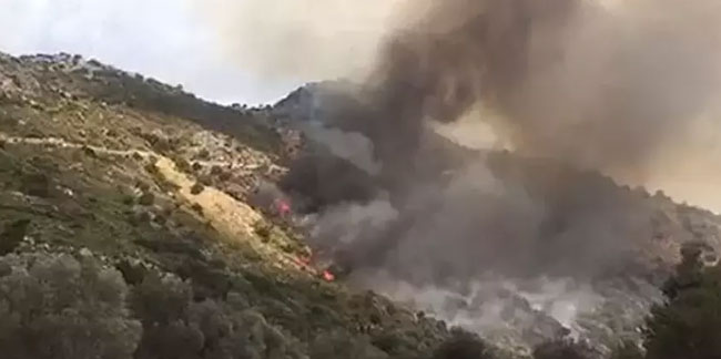 Muğla'da makilik alanda yangın! 6 uçak, 4 helikopter sevk edildi
