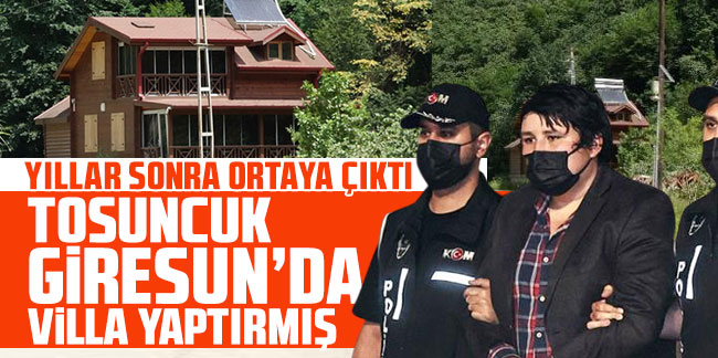 ‘Tosuncuk' lakaplı Mehmet Aydın Giresun'da villa yaptırmış!