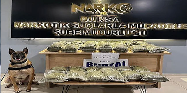 Bursa'da dev uyuşturucu operasyonu! Çok sayıda uyuşturucu ve 118 şüpheli yakalandı