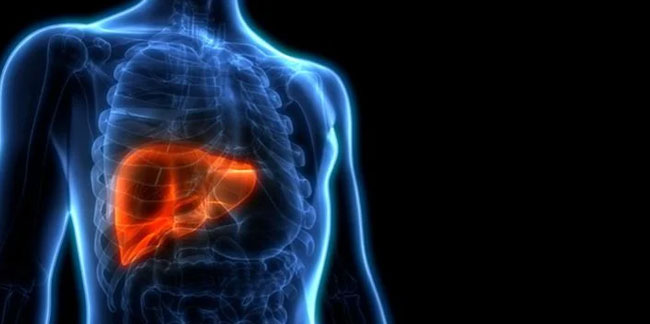 Karaciğer naklinde başarı oranı nedir, karaciğer nakli nasıl yapılır?