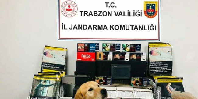 Trabzon'da kaçak sigara imalathanesine baskın