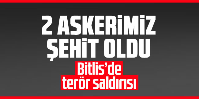 Bitlis'te 2 asker şehit oldu