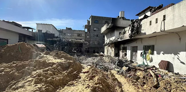 Gazze'de görülmemiş vahşet! Kediler cesetleri kemirmeye başladı