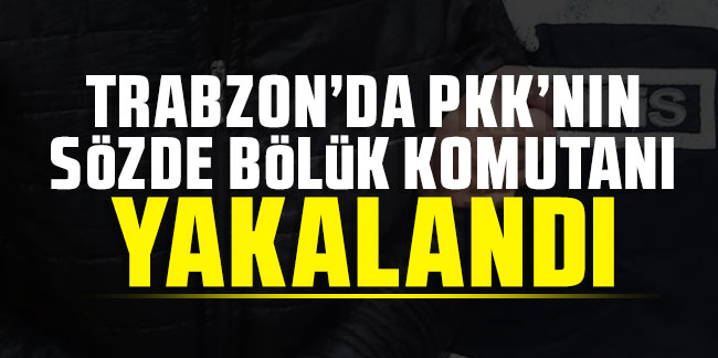 Trabzon’da PKK’nın sözde bölük komutanı yakalandı