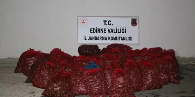 Edirne’de 1 ton kaçak midyeye 101 bin lira ceza