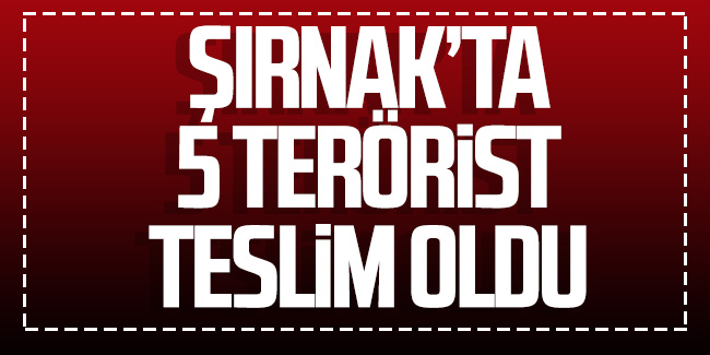 Şırnak'ta 5 terörist daha teslim oldu