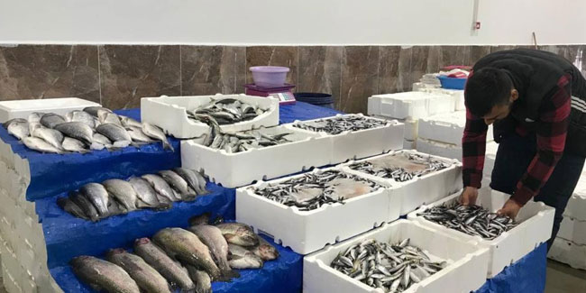 Balık satışları arttı, esnafın yüzü güldü