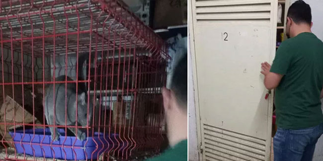 Merdiven altı evcil hayvan satışına ceza