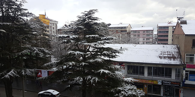 Bitlis’te kar yağışı