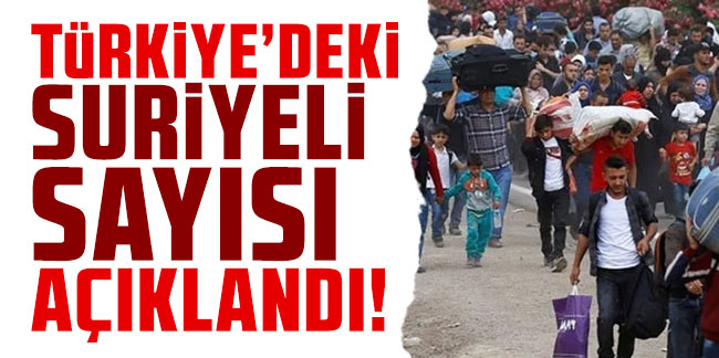 Türkiye'deki Suriyeli sayısı açıklandı!