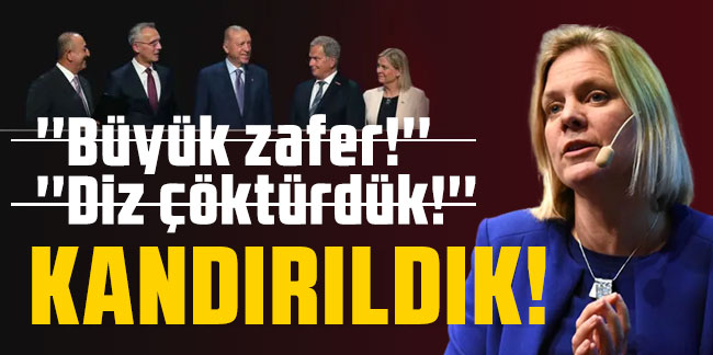 İsveç'ten ''U'' dönüşü: ''Hiçbirini Türkiye'ye iade etmeyeceğiz''