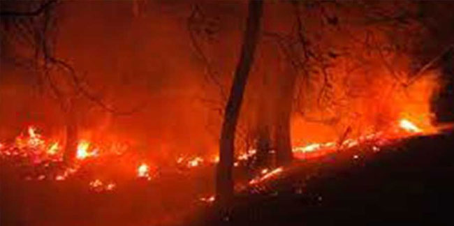 Azerbaycan’da korkutan orman yangını: Kontrol altına alınamıyor