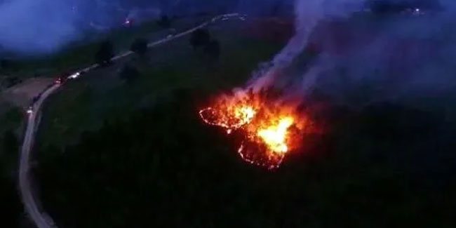 Muğla'daki orman yangınlarında 'sabotaj' şüphesi