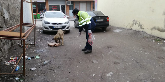 Bulanık Belediyesi sokak hayvanlarını unutmadı