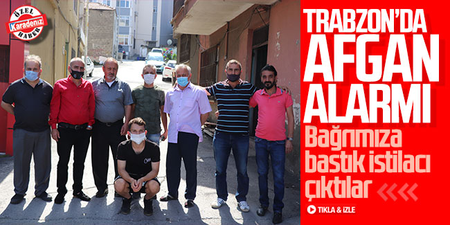 Trabzon'da Afgan alarmı! Bağrımıza bastık istilacı çıktılar
