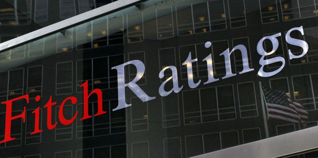 Fitch Ratings Merkez Bankası krizini değerlendirdi!