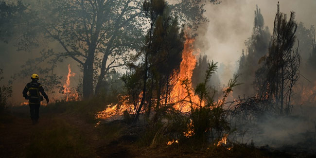 Avrupa'da kırmızı alarm! Orman yangınları söndürülemiyor