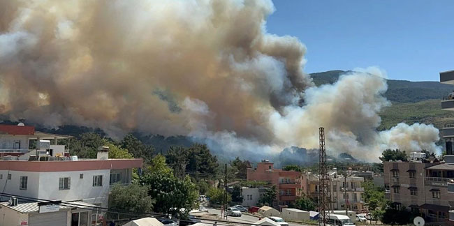 Akdeniz'de 3 ilde orman yangını: Alevler yerleşim yerlerine yaklaştı
