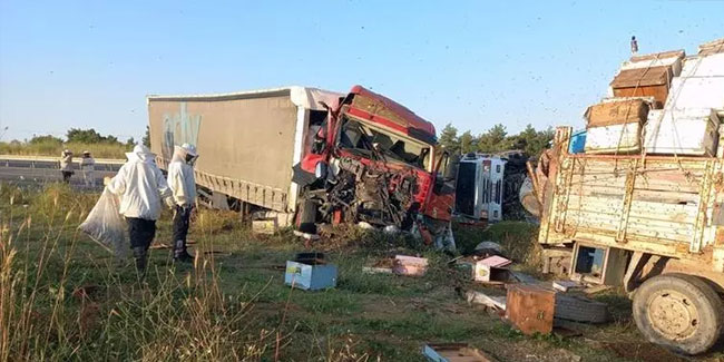 Edirne'de TIR kamyona çarptı: 4 ölü