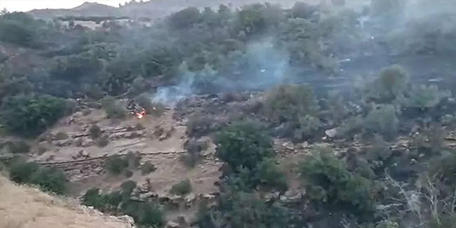 Malatya ve Siirt’te orman yangını! Biri 7 diğeri 15 saatte kontrol altına alındı