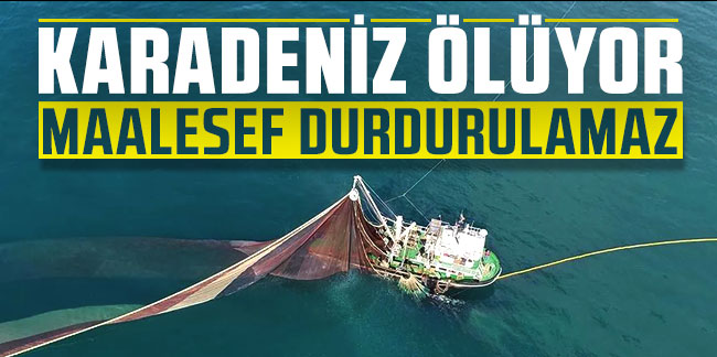 Prof. Dr. Osman Bektaş açıkladı! "Karadeniz'in akıbeti meçhule doğru gidiyor"
