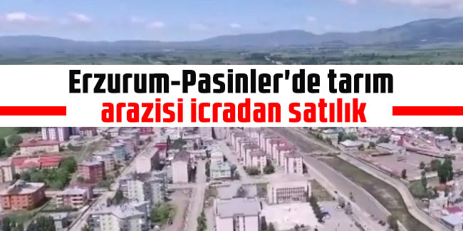 Erzurum-Pasinler'de tarım arazisi icradan satılık
