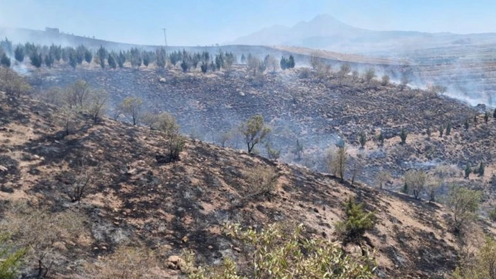Aksaray'da kuru ot yangını ormana sıçradı: 5 bin fidan zarar gördü