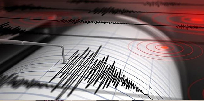Bolu'daki 4.8'lik sarsıntı öncü bir deprem mi? Şükrü Ersoy'dan açıklamalar