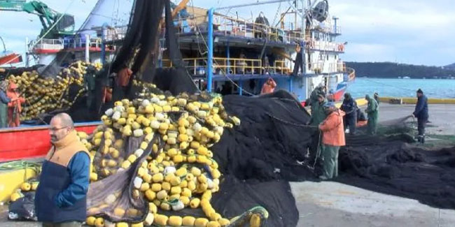 Trabzon'da balıkçılar ağlarını doldurdu