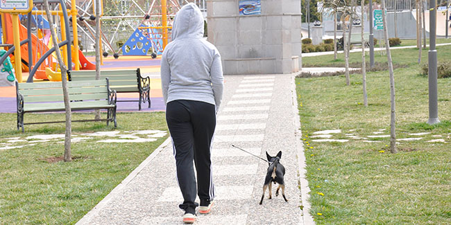 Hafta sonu parklar köpeklerini gezdiren vatandaşlara kaldı
