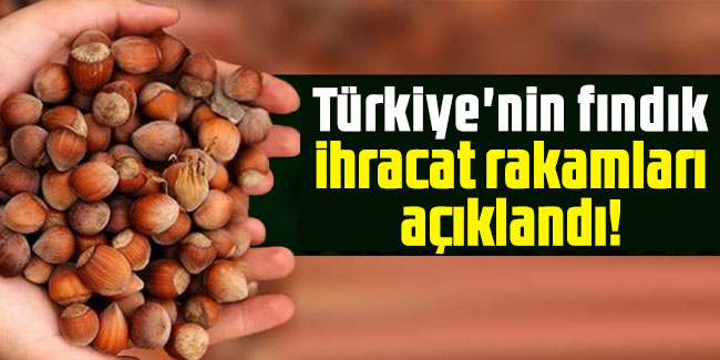 Türkiye'nin fındık ihracat rakamları açıklandı!