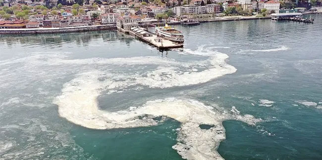 Marmara Denizi’ni kurtaracak rapor TBMM'ye sunuldu