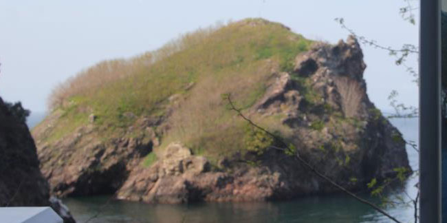 Ordu Hoynat Adası ilgi odağı