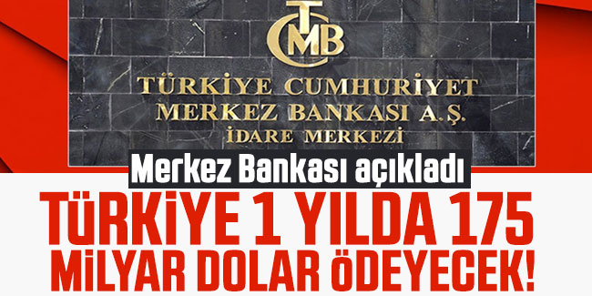 Merkez Bankası açıkladı: Türkiye 1 yılda 175 milyar dolar ödeyecek!